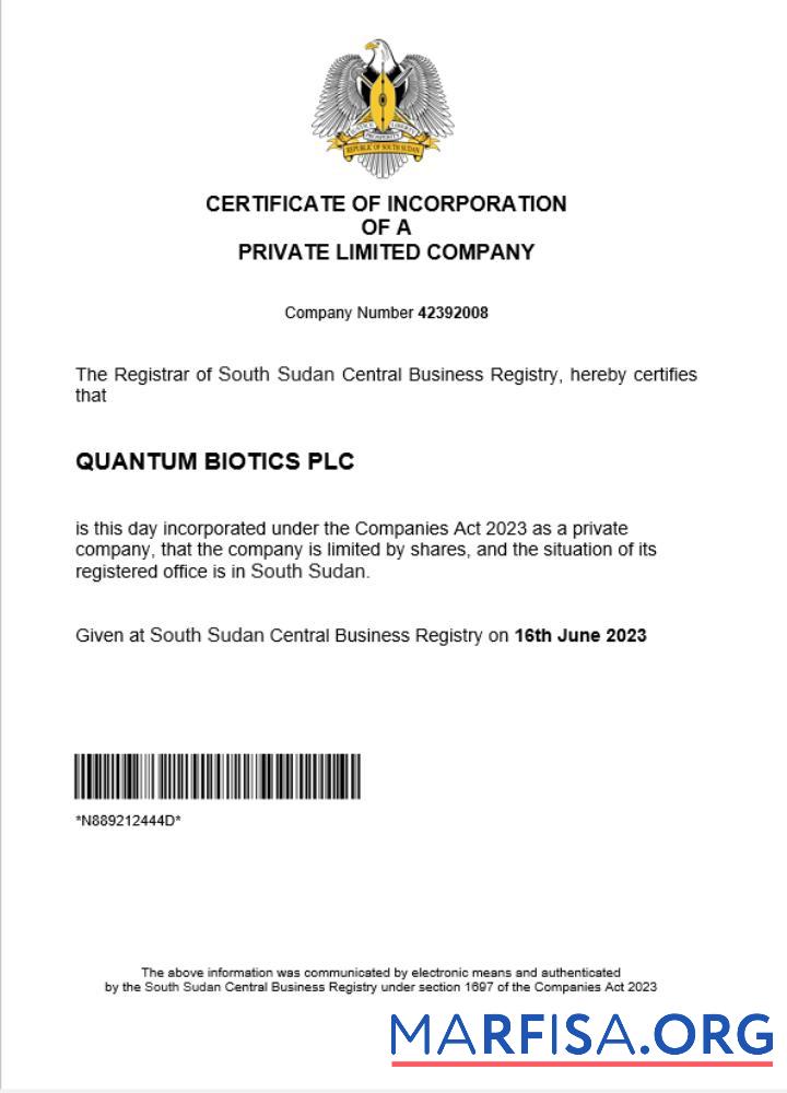 Downloadable South Sudan business registration certificate Word and PDF template